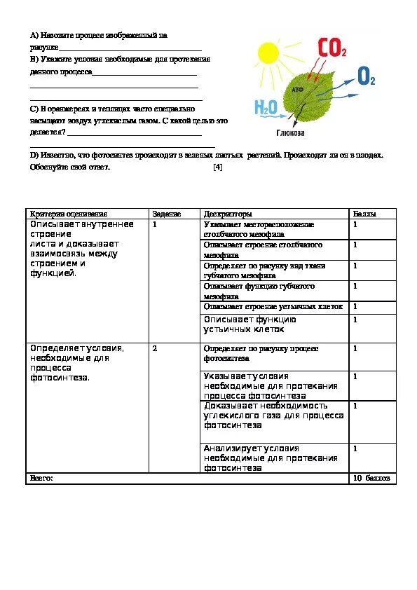 Сор 3 биология 9 класс. Сор по биологии 7 класс 2 четверть. Сор по биологии 7 класс 3 четверть 2 сор. Сор по биологии 8 класс 2 четверть. Ответы на сор по биологии 9 класс 2 четверть.