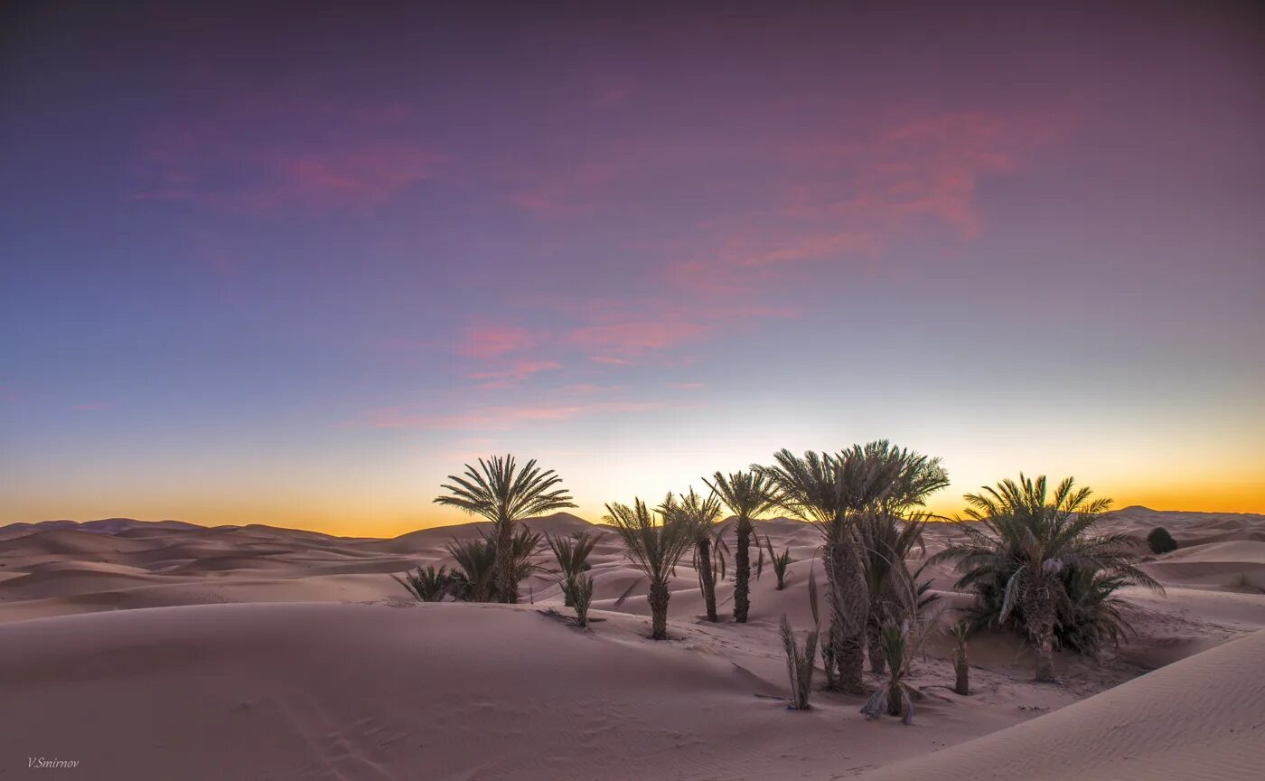 Пустыня сахара Оазис. Сахара Марокко Оазис. Оазис в пустыне сахара фото. Оазис в пустыне Африки.