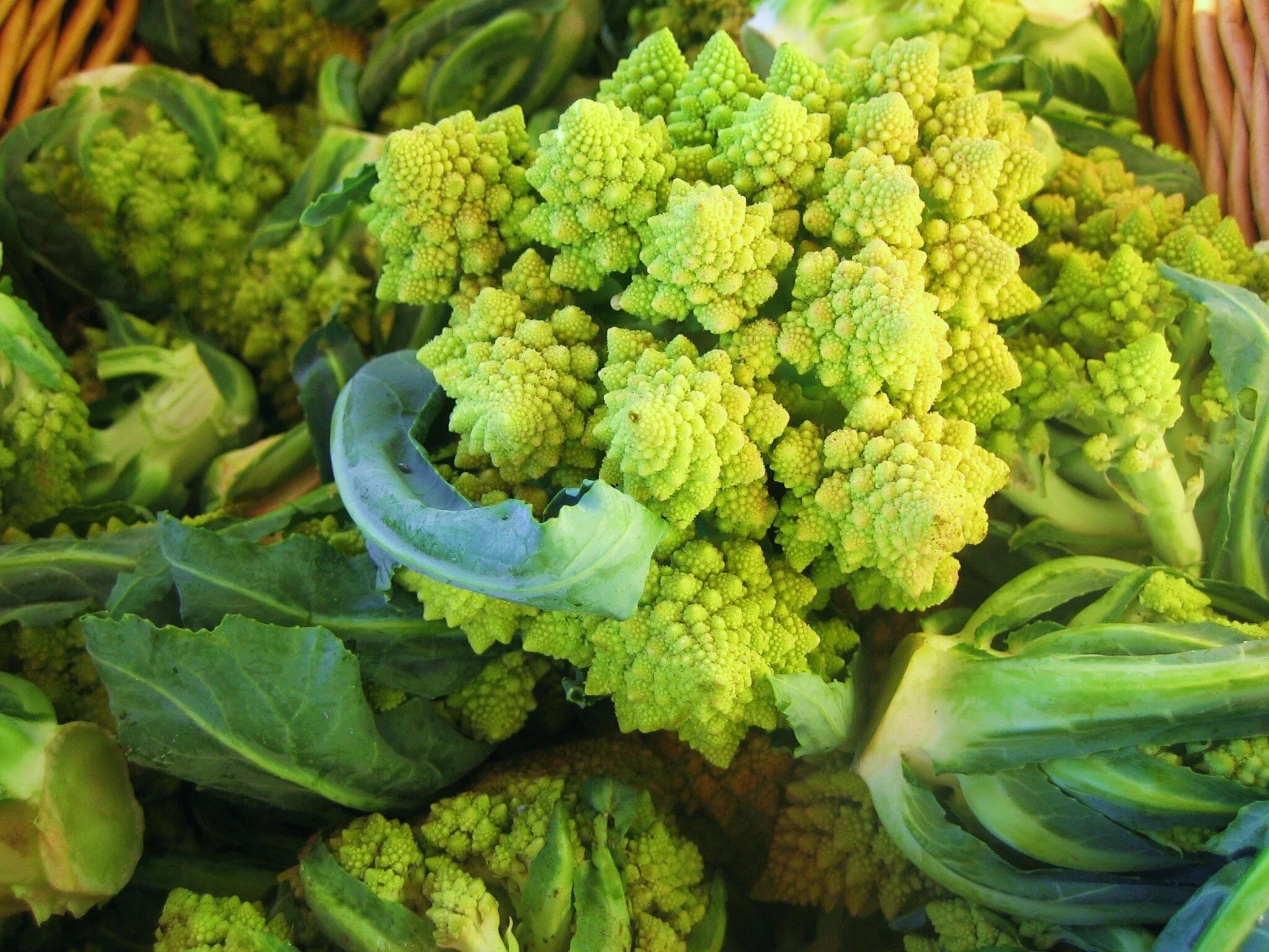 A friend from Spain taught me how to cook delicious cauliflower and broccoli - p