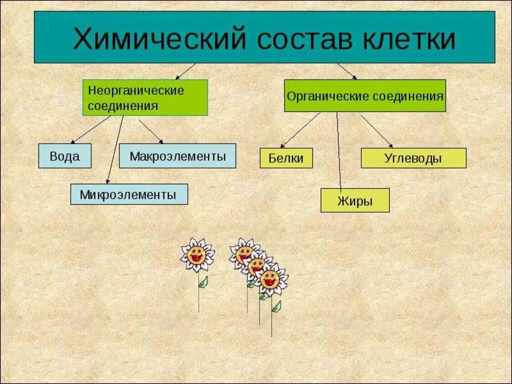 Основная состоит из живых. Компоненты химического состава клетки. Химический состав клетки схема. Химический состав живой клетки схема. Химический состав клетки схема 5 класс.