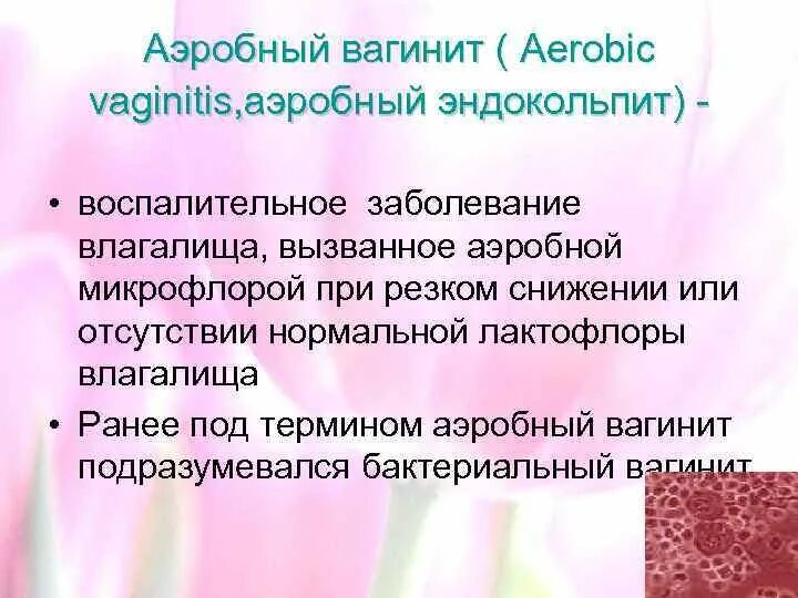 Аэробный вагинит. Аэробный (неспецифический) вагинит. Аэробный вагинит профилактика. Вагинит после 50