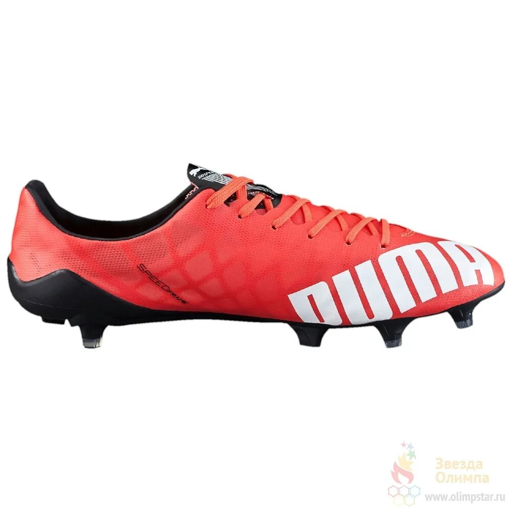 Sl fg