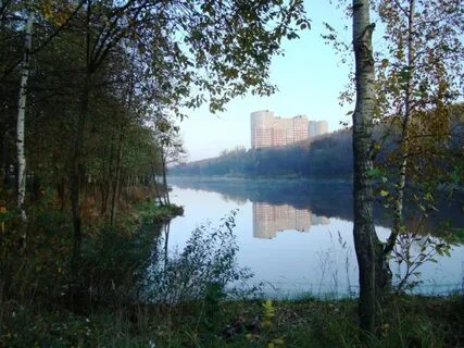 Пушкино серебрянка