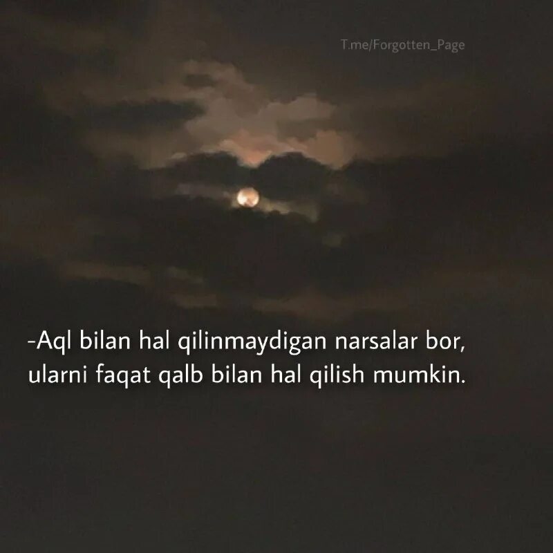 Forgotten page. Forgotten page. Forgotten page. Forgotten page. Forgotten page.