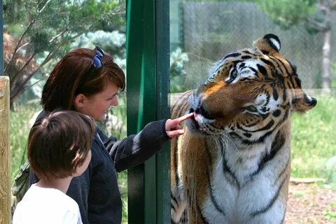 Летом уйдет из зоопарка