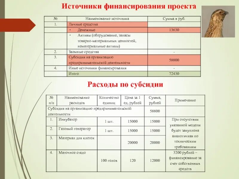 Способы привлечения финансирования. Источник финансирования субсидии. Софт-субсидии. Основные источники долгосрочного финансирования. Финансирование государственных учреждений.