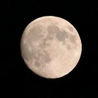 Moon imp