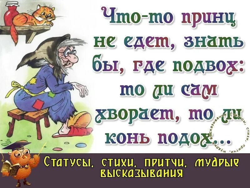 Старушка ждет принца на белом коне. Ждала принца на белом коне а пришел конь. Стихи стихи про принца. Стихотворение про принца на белом коне. Буду твоим принцем