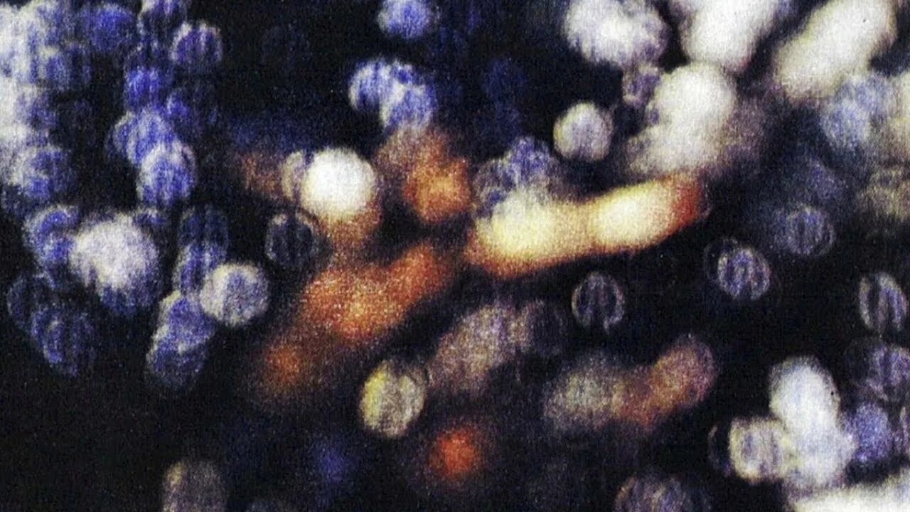 Pink floyd obscured by clouds 1972 обложка cd. Pink floyd obscured by clouds. Obscured by clouds обложка. Pink floyd обложки альбомов obscured by clouds. Pink floyd obscured.