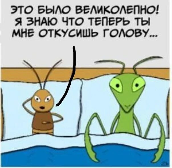 Каждый сверчок знай свой шесток значение пословицы. Каждый сверчок знай свой шесток картинки. поговорка каждый сверчок знай свой шесток. всяк сверчок должен знать свой шесток. всяк сверчок знай свой шесток смысл.