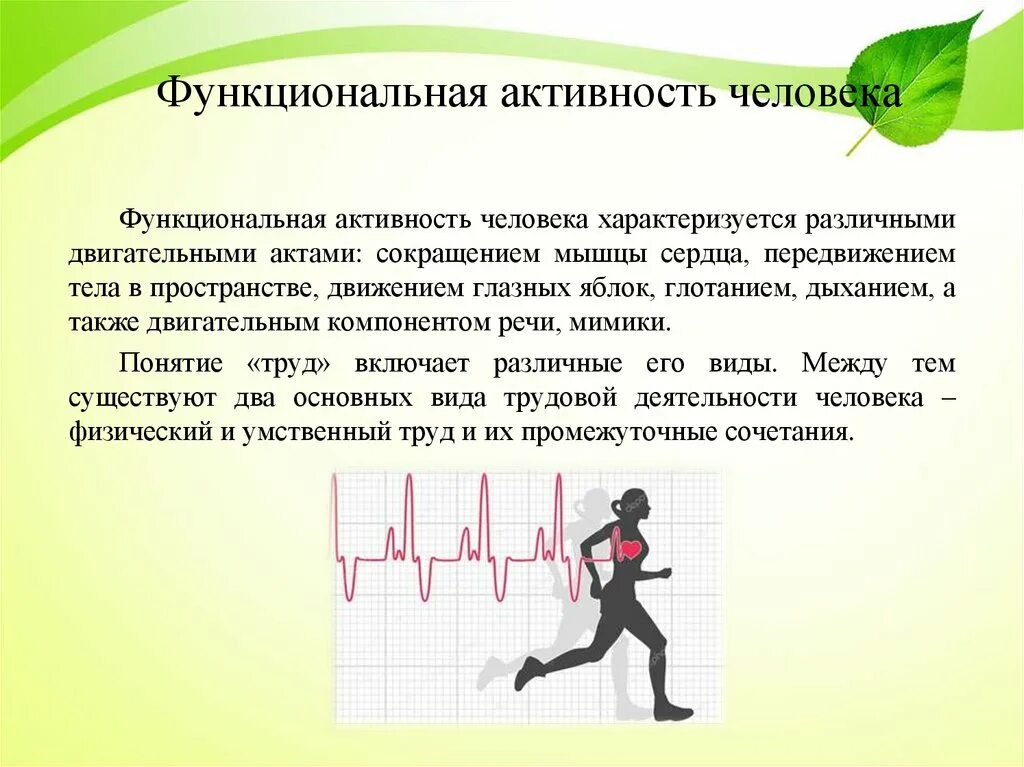 Функции активности человека. Функциональная активность человека. Взаимосвязь умственной и физической. Взаимосвязь физической и умственной деятельности человека кратко. Взаимосвязь мышечной активности и умственной деятельности..