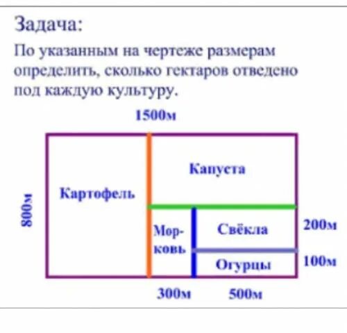 Задачи на нахождение площади и периметра 4 класс. Задачи на площадь. Интересные задачи на площадь. Практические задачи на нахождение площади.