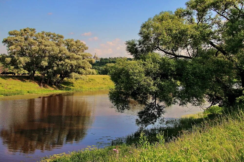 Река солотча. Река Солотча Рязанская область. Солотча (река). Река Старица Рязань. Солотча Ока.