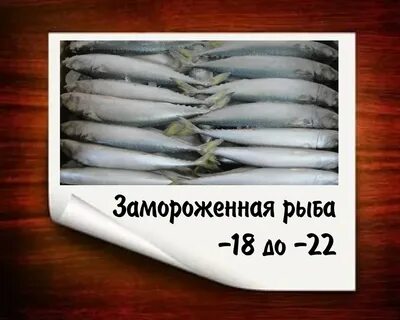 Окпд рыбы свежемороженой