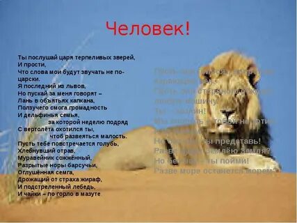 Слова животных людям
