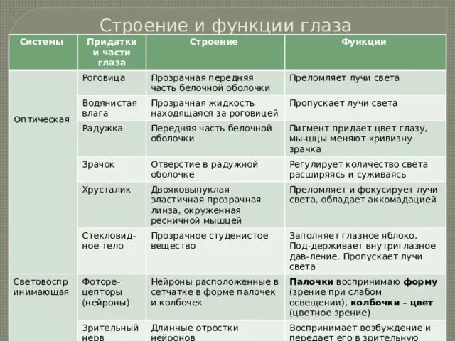 Таблица строение глаза название строение функции. Зрительный анализатор строение и функции глаза таблица. Таблица по биологии 8 класс части глаза строение и функции. Таблица по биологии 8 класс оболочка глаза строение и функции.