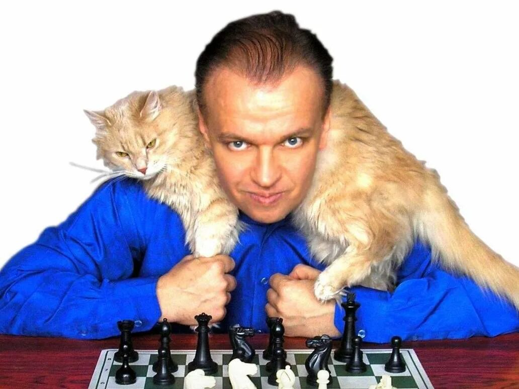 Шипов ю. Шипов ю