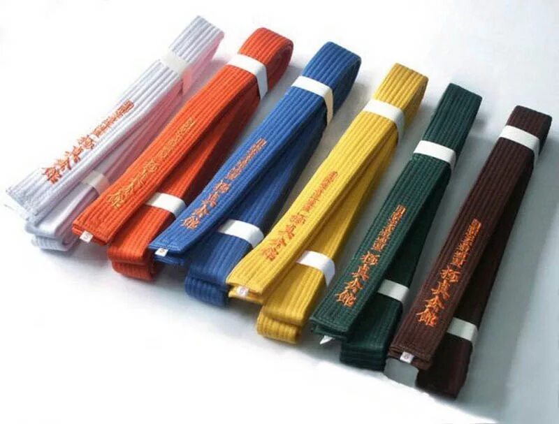 пояса в киокушинкай каратэ по цветам по порядку. киокушинкай каратэ пояс пояса. каратэ киокусинкай пояса по порядку цвета. пояа карате кёкусинкай. киокусинкай цвета поясов.