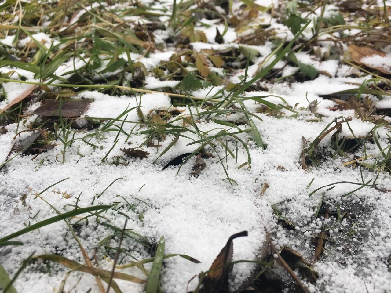 Погода в мамадыше на неделю. Погода в самаре на 10 дней. Прогноз на месяц. Города мамадыш лицей. Мамадыш зимой.