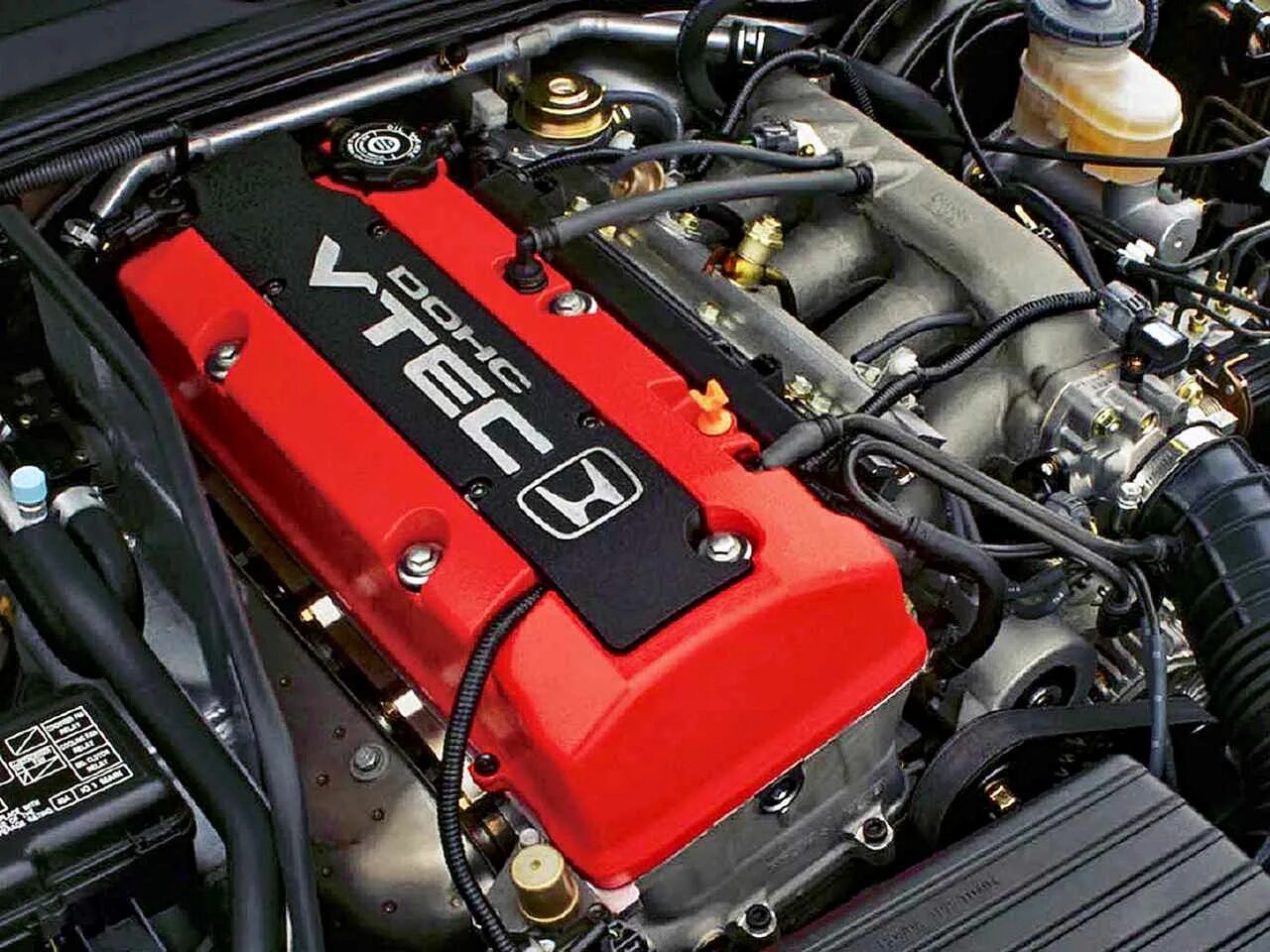 C 20 version