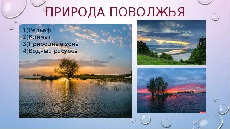Особенности природы поволжья 9 класс. Поволжье особенно природы и природный ресурс. Климатические условия поволжья. Климат и рельеф поволжья. Природа поволжья 9 класс география.