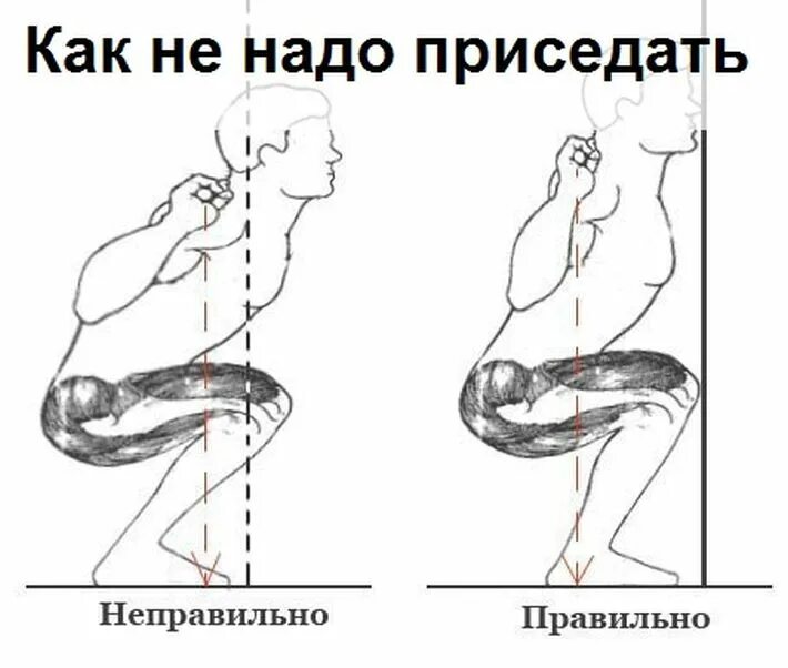 Как правильно приседать со штангой для мужчин. Присед со штангой техника выполнения. присед схема выполнения. присед со штангой схема. техника приседания со штангой схема.