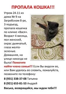 Исчезла в подъезде