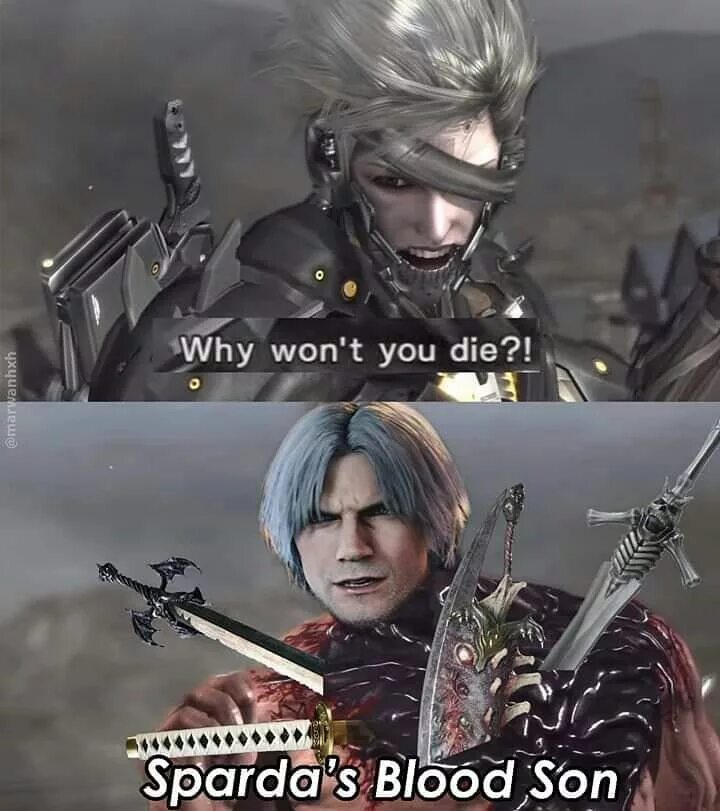 Why are you coming to me. Райден сын мгр. Райден DMC. Райден против Данте. Данте Вергилий Мем Devil May Cry 3.
