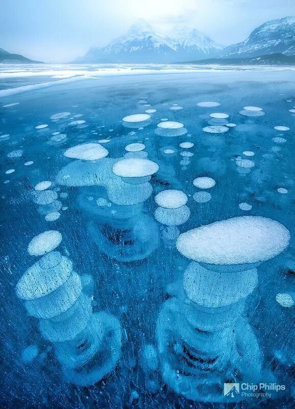 Замерзший воздух в воде. Необычные природные явления зимой. Озеро с гигантскими пузырями. Озеро с пузырьками. Замерзшее озеро.