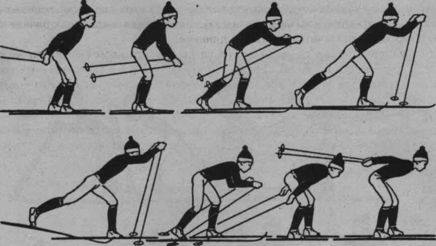 Техника лыжных ходов ступающий и скользящий шаг. Техника выполнения лыжных ходов скользящий шаг. Скользящий шаг техника выполнения. Лыжные ходы скользящий шаг.