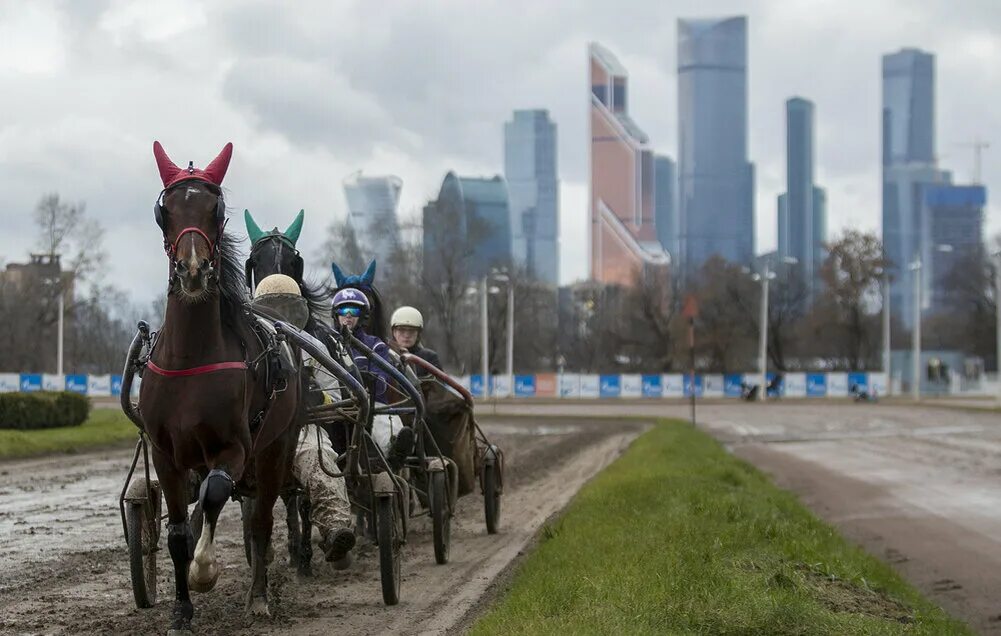 Экскурсия на ипподром. Ипподром на беговой. центральный московский ипподром. ипподром в москве. ипподром 1905 года.