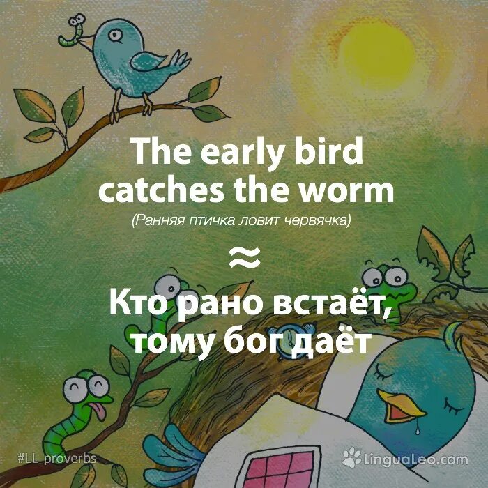 День ранней пташки (early Bird Day). The early Bird catches the worm. Birds catch