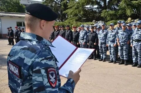 Омон беркут