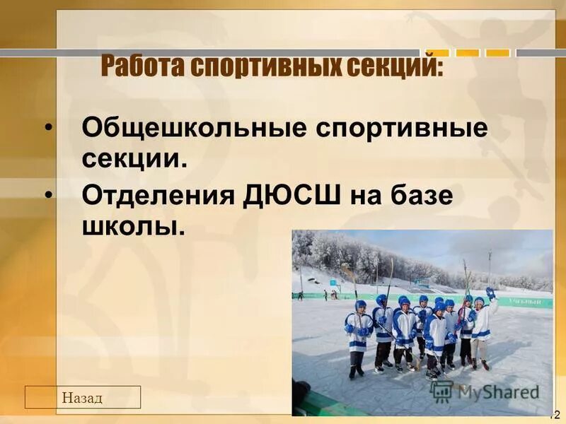 школьные спортивные секции. секция в школе характеристика. расписание спортивных секций. веселая переменка. работа спортивных секций в школе.