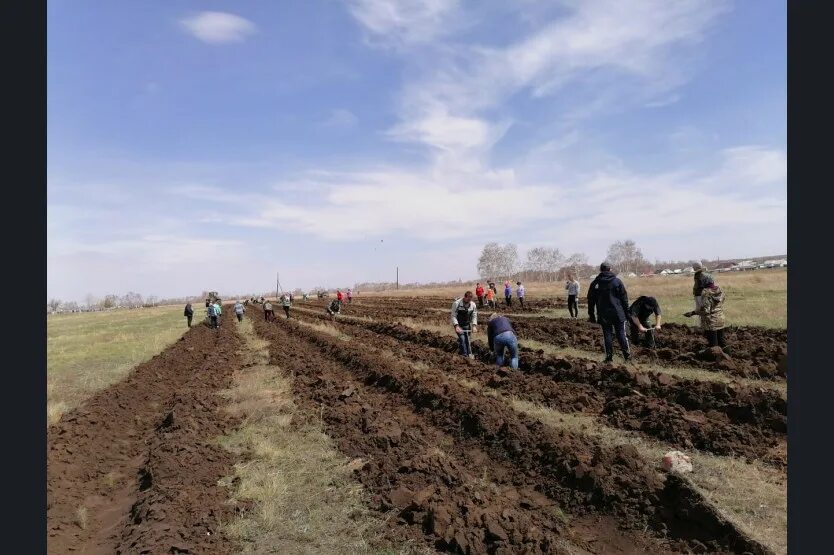 Погода в ивановке на 10 дней