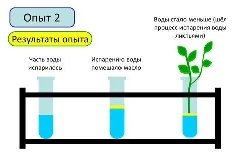 Испарение компонентов смеси