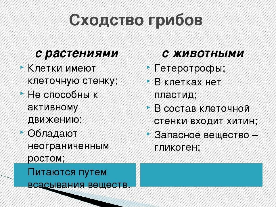 Черты сходства грибов с растениями и животными. Признаки сходства грибов с растениями. Перечислите сходства грибов с растениями. Сходство грибов с растениями и животными таблица 7 класс. Сходство и отличие грибов