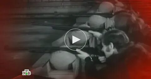 Следствие вели с леонидом последние