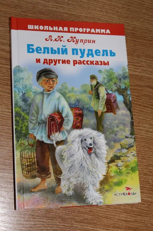 Куприн белый пудель Искатель. Автор произведения белый пудель. Белый пудель обложка. А. И. Куприн "белый пудель". Белый пудель описание