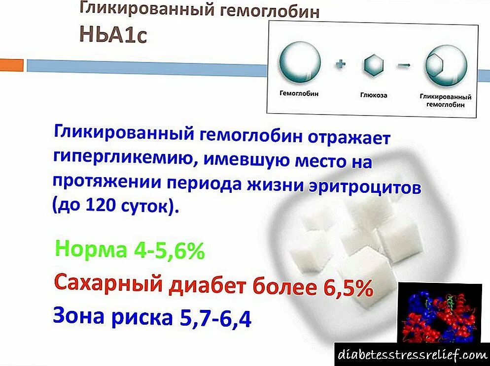 Как сдается гликированный гемоглобин. Гликированный гемоглобин анализ. гликированный гемоглобин бланк. направление на гликированный гемоглобин. гликированный гемоглобин hba1c норма.