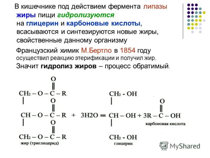 Гидролизу подвергается глицерин