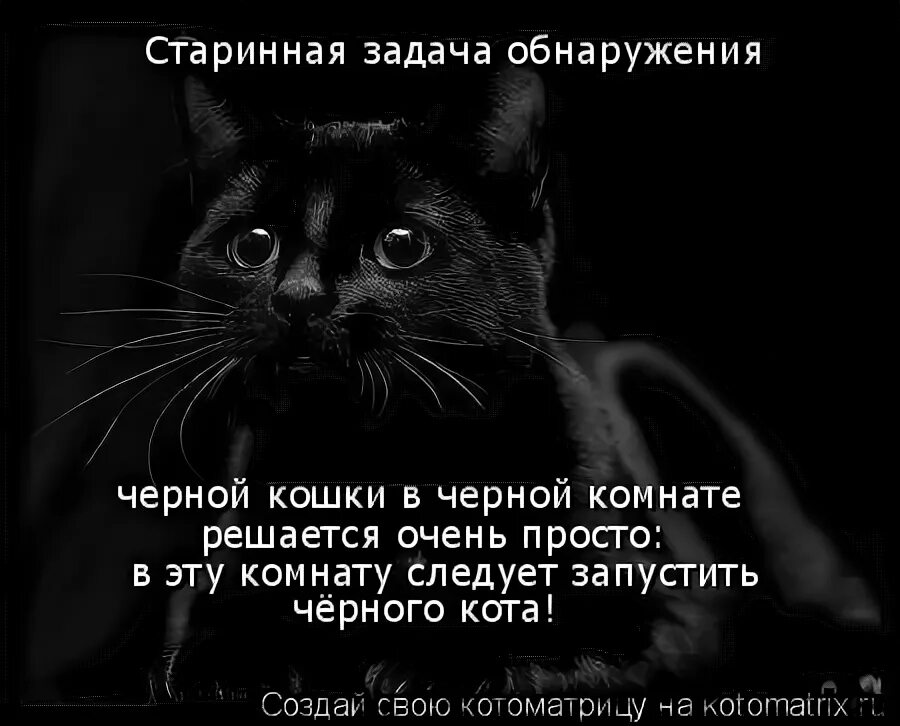 Найти черную кошку в темной комнате. Кошка в темной комнате. цитаты про чёрных кошек.