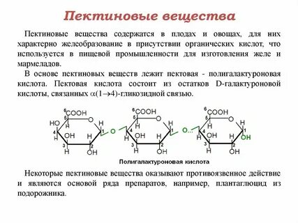 Содержатся две основы