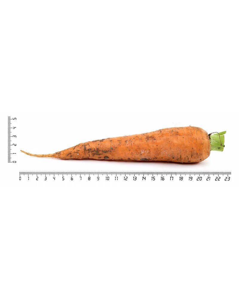 Морковь килокалории. Калорийность морковки. Морковь калории. Морковь ккал. Морковь калорийность в 1 штуке.