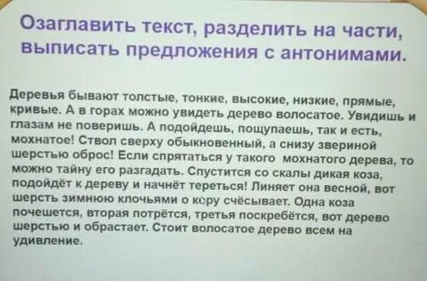 Разделить текст на предложения 2 класс карточки