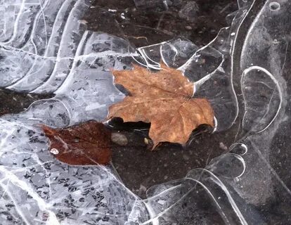 Листики кружатся и ледок на лужицах