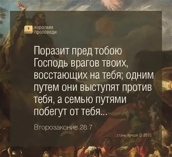 Читать книгу я не была твоим врагом