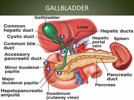 Gallbladder formula