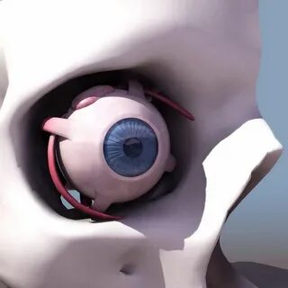 Crazy 3d