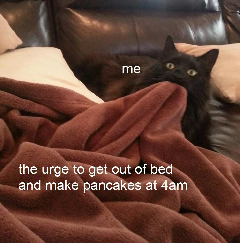 Коте номе